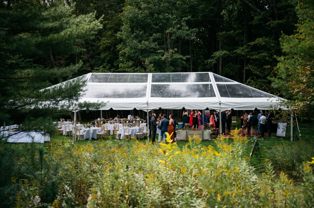 clear top tent backyard wedding