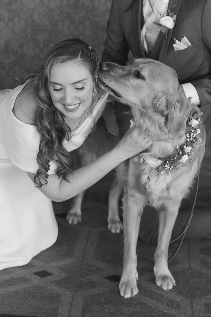 bride photo with dog wearing flower collar