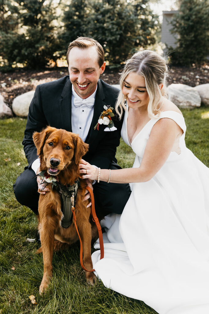 bride and groom looking at their golden retriever 