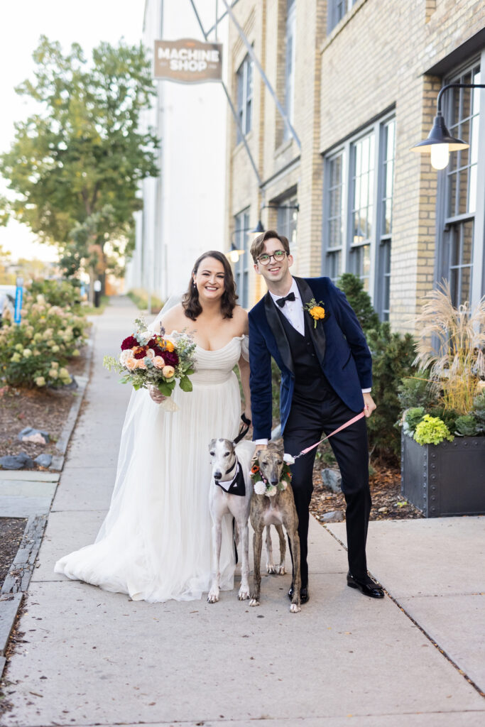 bride and groom portrait with two greyhound dogs