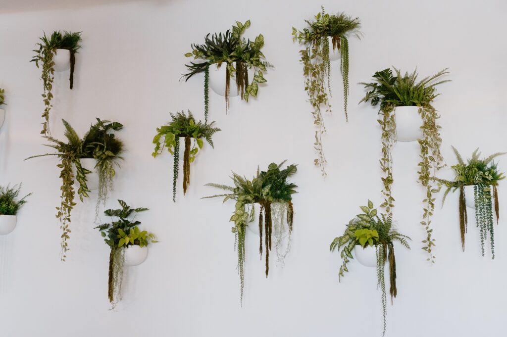 greenery wall at Urban Daisy venue